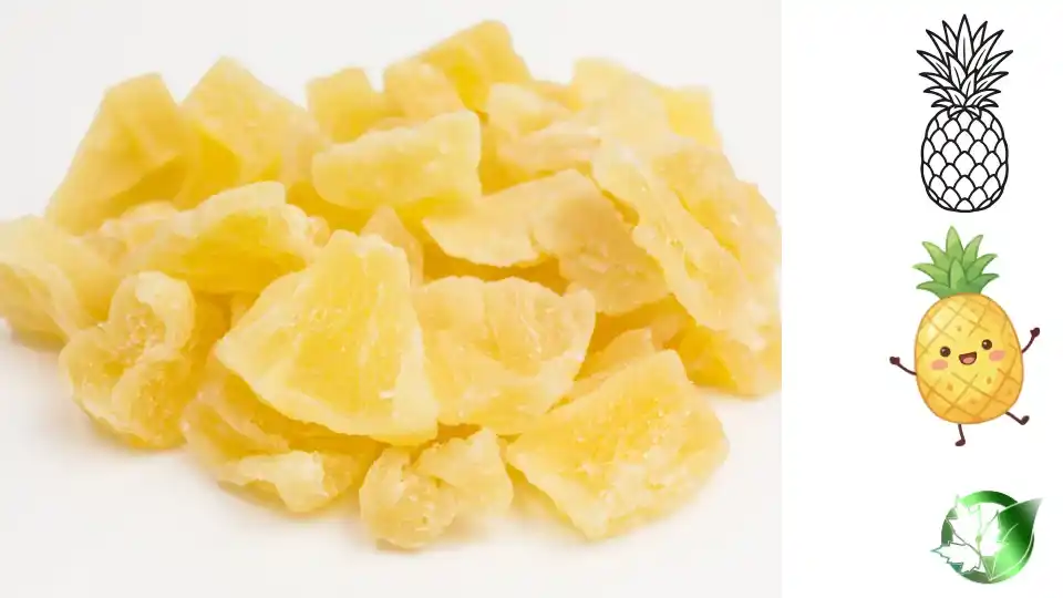 Dried Pineapple quality, format, and packaging should be matched to the buyer’s target application.